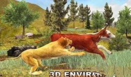 雄狮2017在线观看,穿越时空的传奇之旅